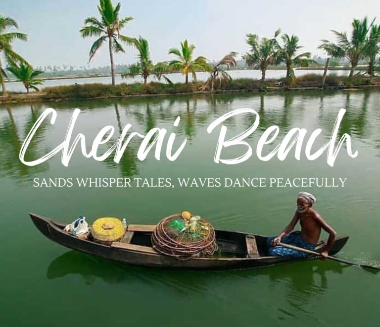 cherai beach kochi