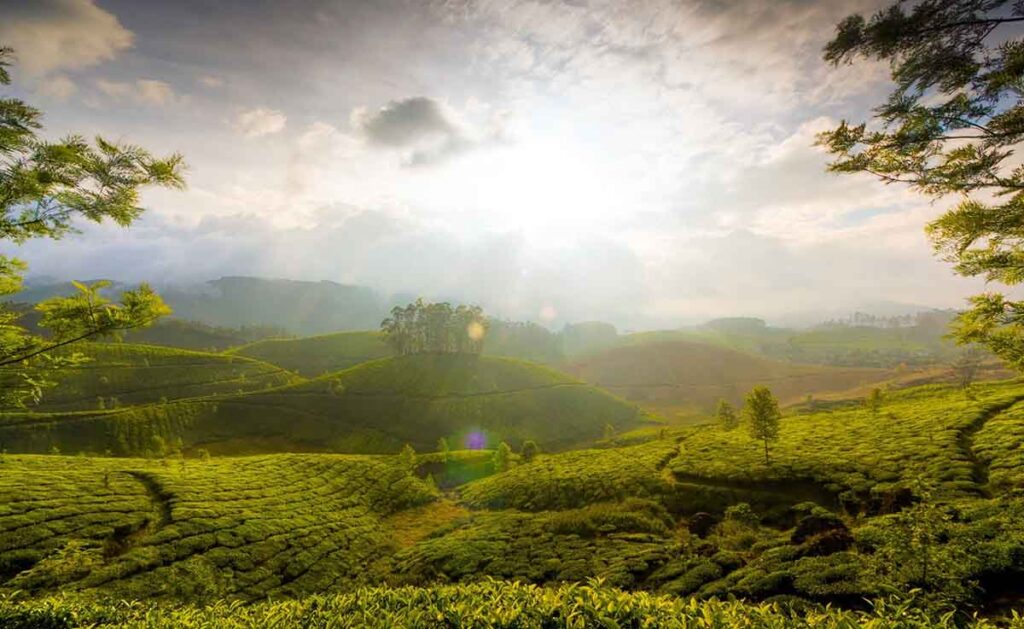 Breathtaking sunrise over Munnar hills during December trip