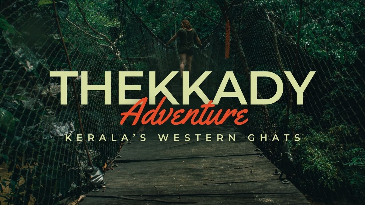 Thekkady - Kerala’s Western Ghats | Places to visit in Thekkady