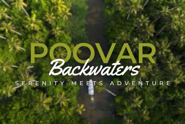 Poovar backwaters - Where Serenity Meets Adventure | Poovar Backwater tours