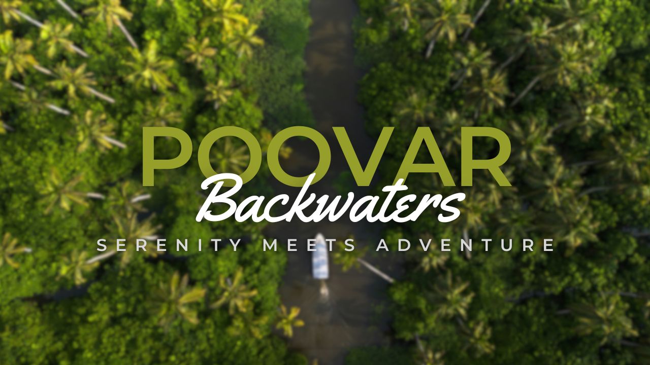 Poovar backwaters - Where Serenity Meets Adventure | Poovar Backwater tours