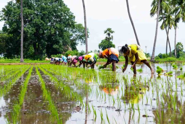 Alapuzha | Cochin airport taxi services