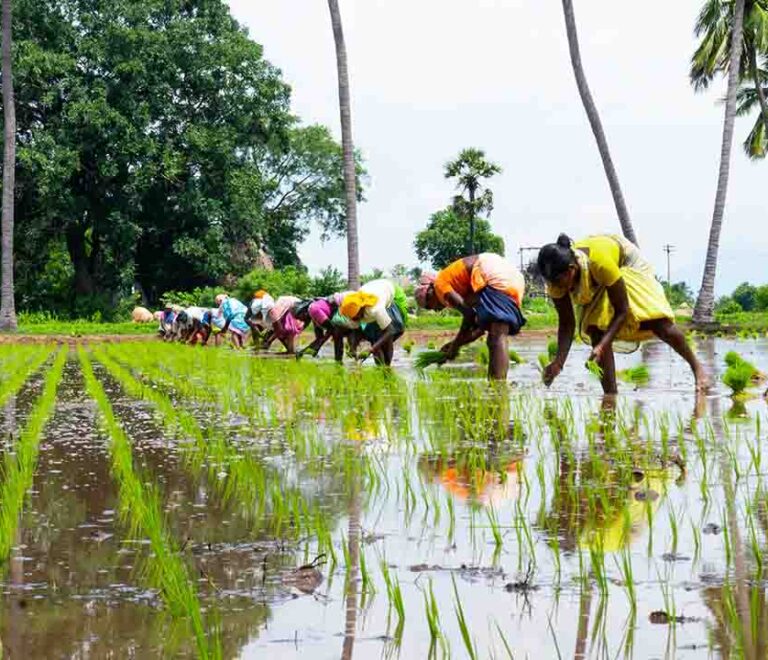 Alapuzha | Cochin airport taxi services