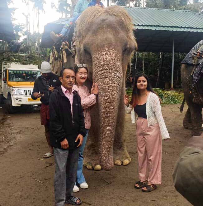 Cochin airport taxi services | Thekkady Elephant Safari