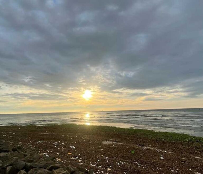 Cochin airport taxi services