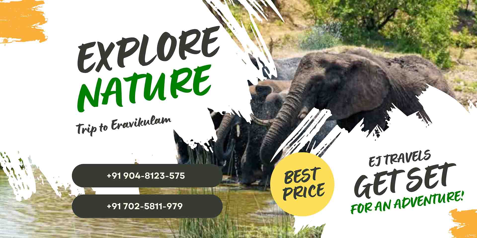 Eravikulam national park