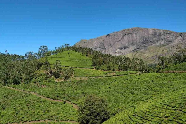 Cochin airport taxi services