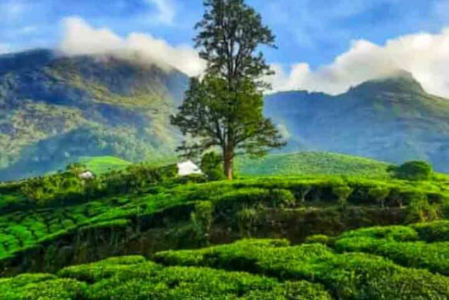 munnar | Cochin airport taxi services