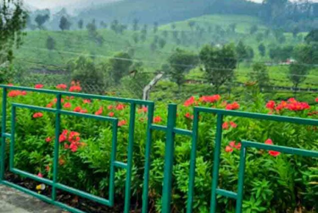 munnar | Cochin airport taxi services