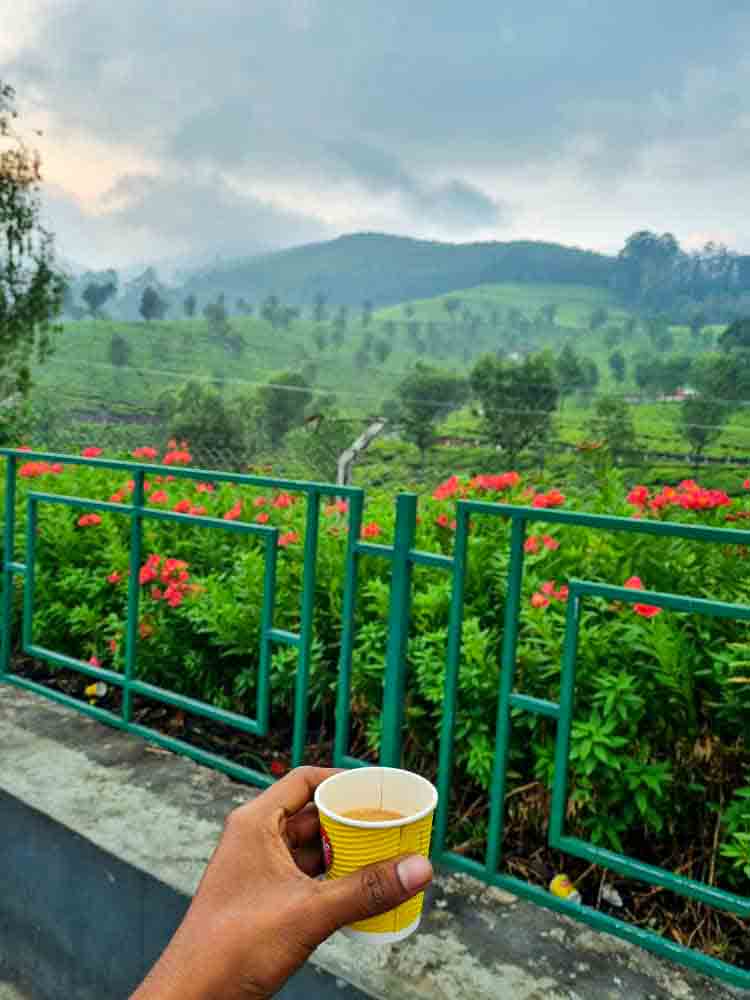 munnar | Cochin airport taxi services