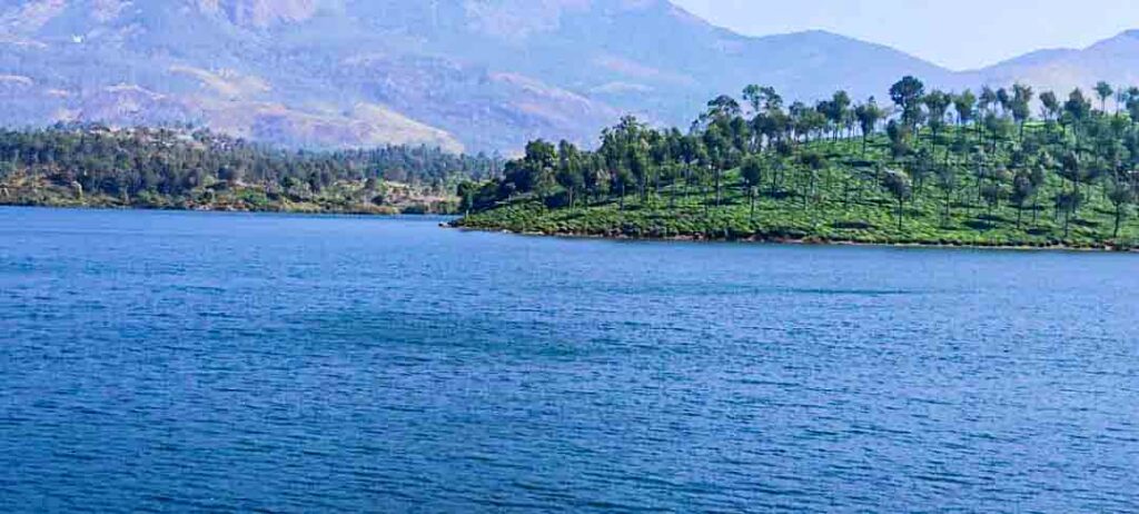 A winding road through misty hills and lush tea estates in Ponmudi, Kerala.
