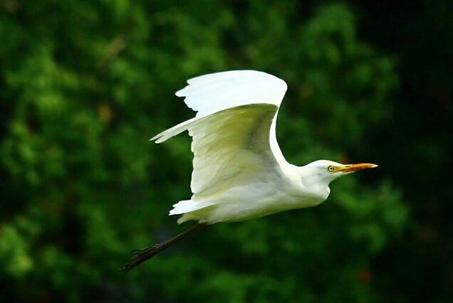 Poovar | Cochin airport taxi services