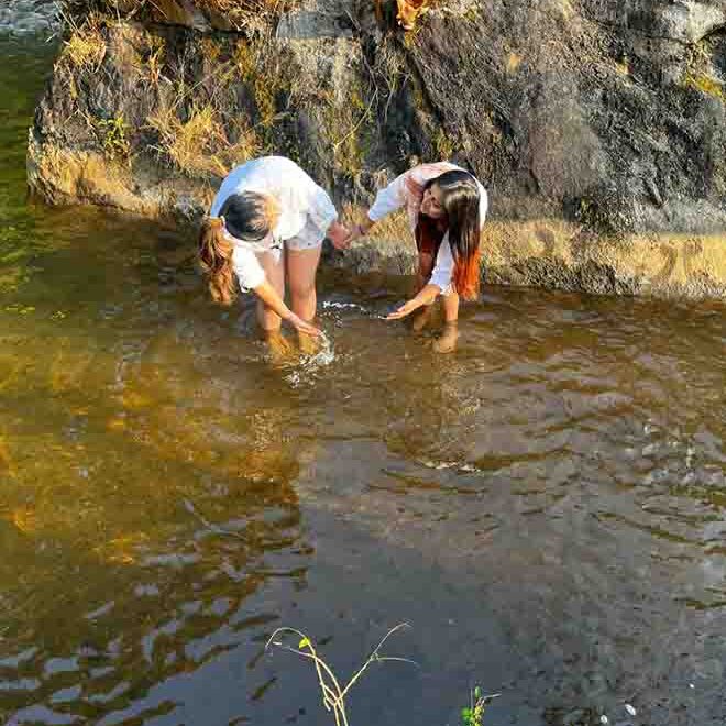 Munnar | Cochin airport taxi services