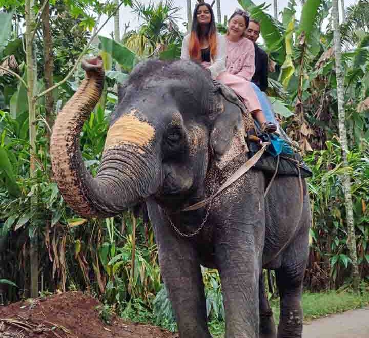 Thekkadi | Cochin airport taxi services