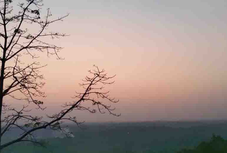 Thekkadi | Cochin airport taxi services