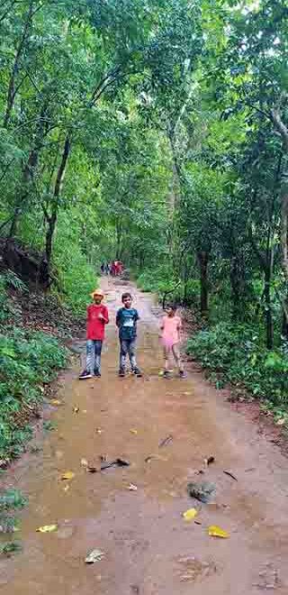 Thekkadi | Cochin airport taxi services