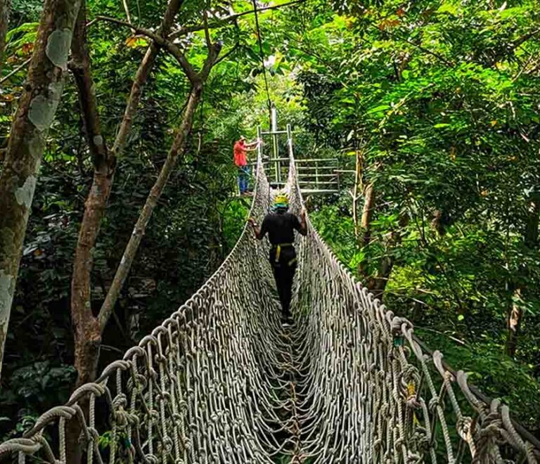 Trivandrum | Cochin airport taxi services