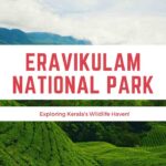 Eravikulam National Park
