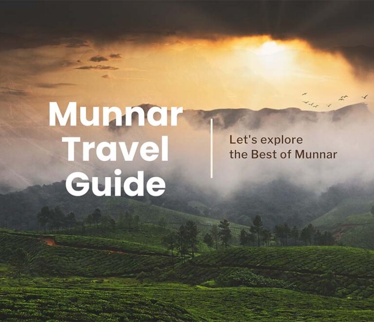 Best time to visit Munnar