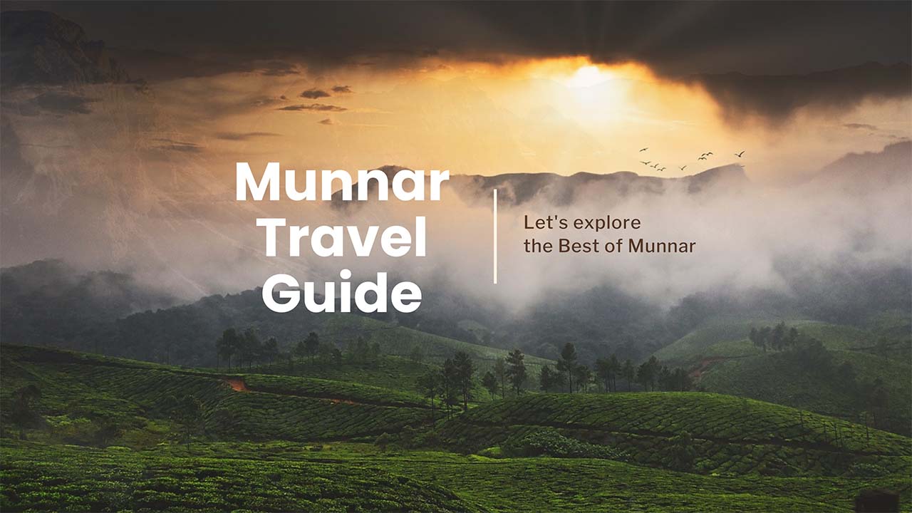 Best time to visit Munnar