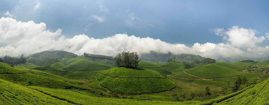 best time of munnar panaromic view