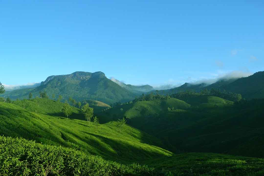 landscape of Munnar on post-monsoon