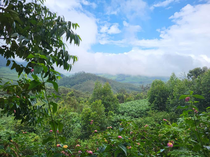 silent valley national park