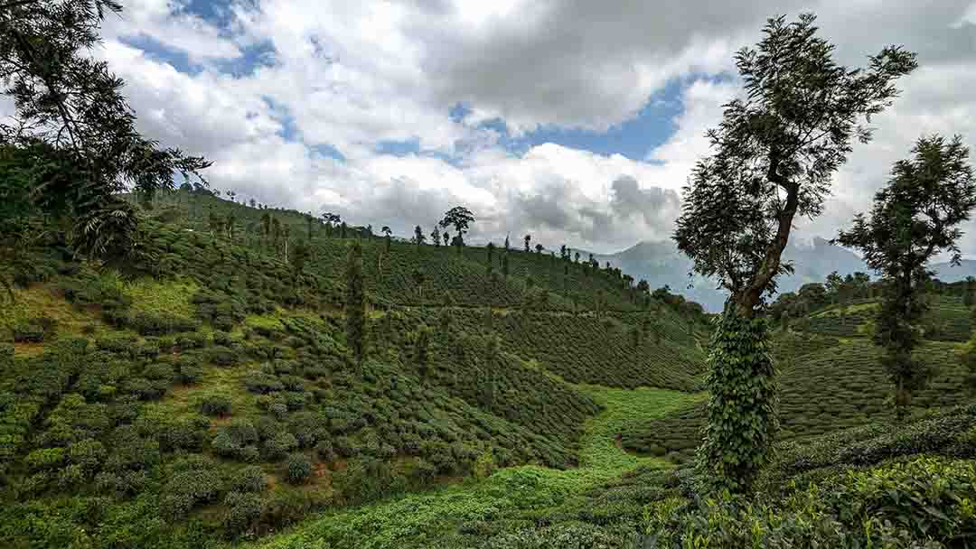 Cochin International Airport