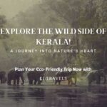 Exploring Kerala’s National Parks and Wildlife