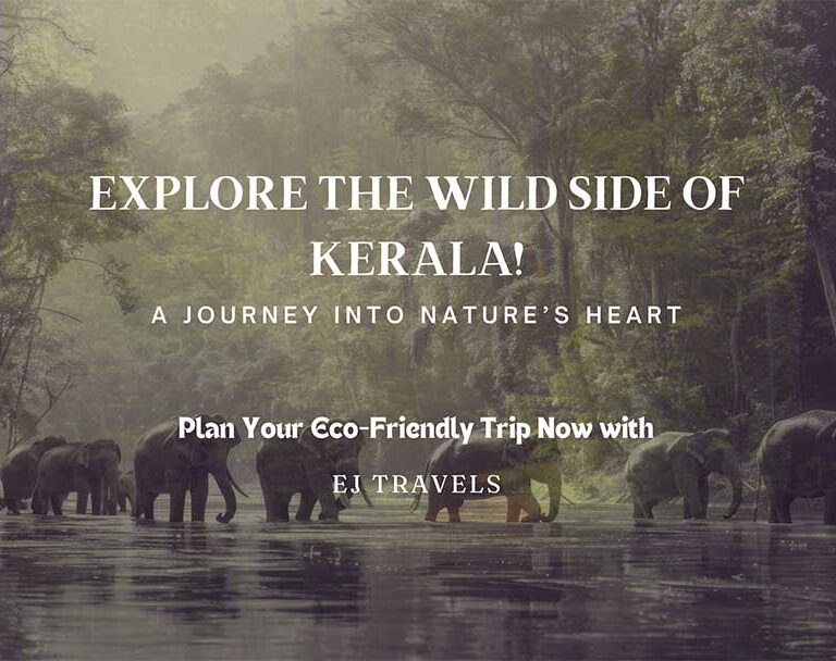 Exploring Kerala’s National Parks and Wildlife