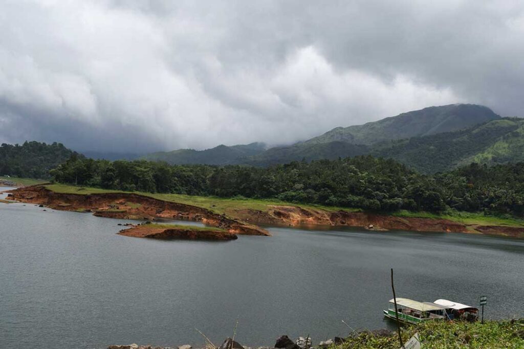 Explore Thekkady's natural beauty while boating on Periyar Lake with scenic views of forests