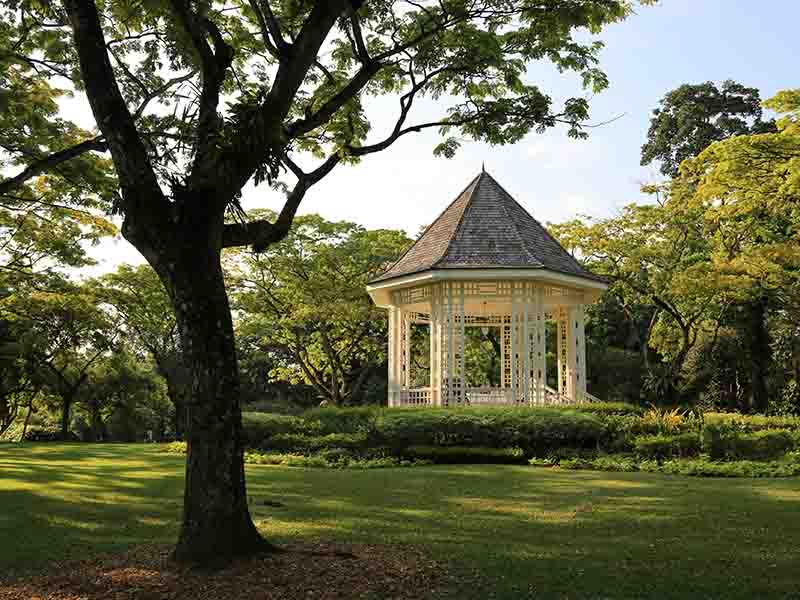 Peaceful scenery of Singapore Botanic Gardens with lush green landscapes