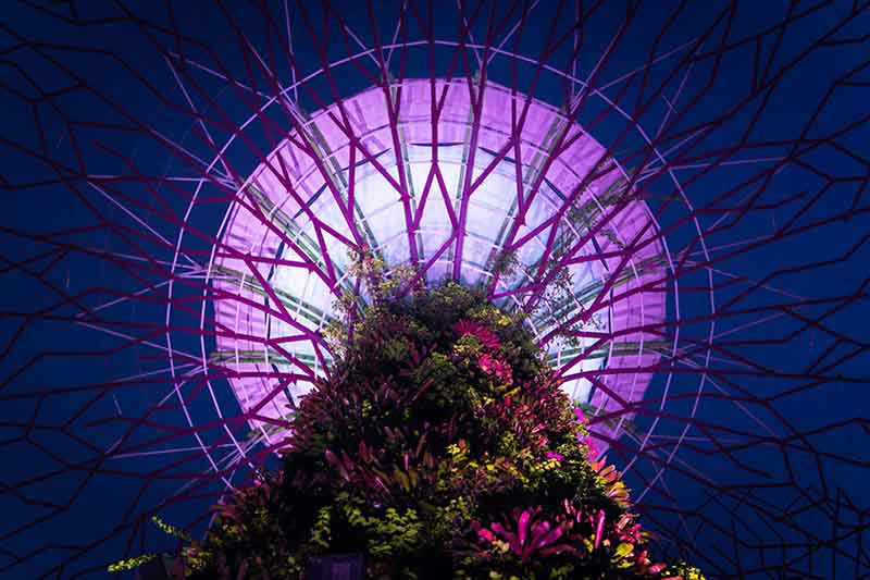 Gardens by the Bay with futuristic Supertrees and vibrant greenery in Singapore