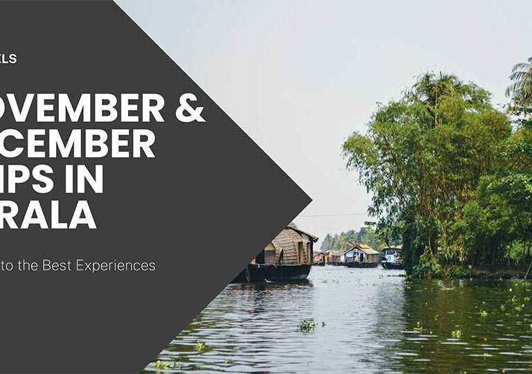 November & December Trips in Kerala: A Guide to the Best Experiences