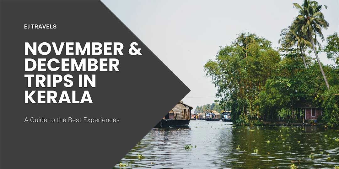 November & December Trips in Kerala: A Guide to the Best Experiences