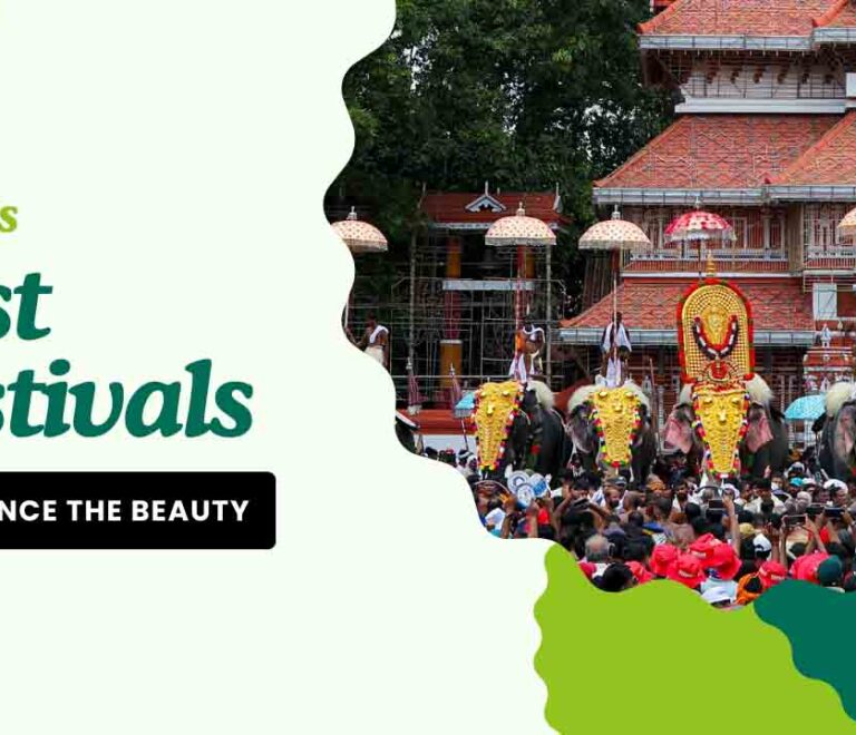 Colorful procession of decorated elephants at Kerala's Thrissur Pooram festival