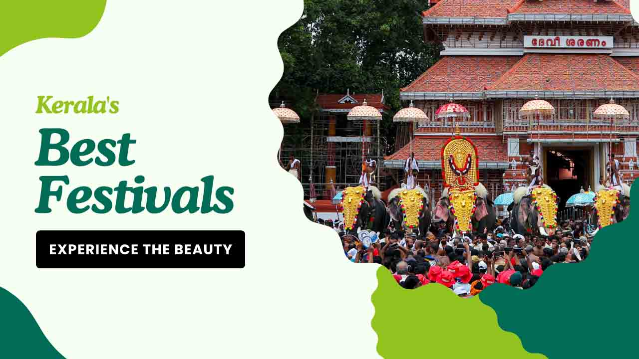 Colorful procession of decorated elephants at Kerala's Thrissur Pooram festival