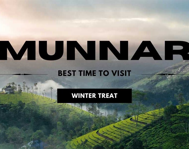 Tourists trekking through misty hills in Munnar during December