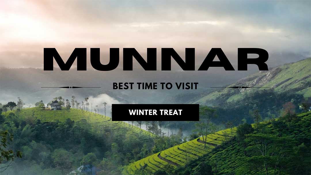 Tourists trekking through misty hills in Munnar during December