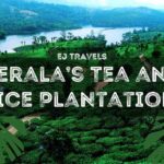 Nestled in the misty mountains of the Western Ghats, Munnar is Kerala’s crown jewel, famed for its lush tea and spice plantations
