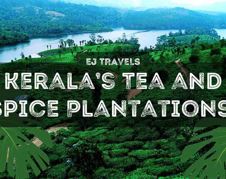 Nestled in the misty mountains of the Western Ghats, Munnar is Kerala’s crown jewel, famed for its lush tea and spice plantations