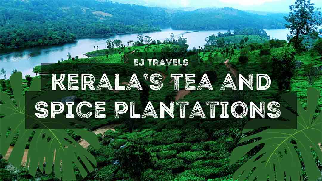 Nestled in the misty mountains of the Western Ghats, Munnar is Kerala’s crown jewel, famed for its lush tea and spice plantations