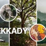 Thekkady Wildlife Sanctuary and Spice Plantation