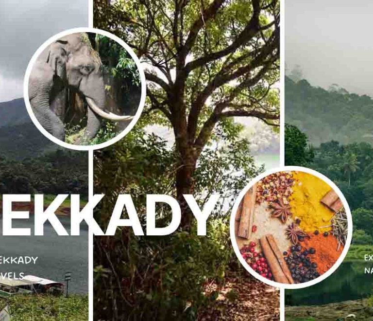 Thekkady Wildlife Sanctuary and Spice Plantation