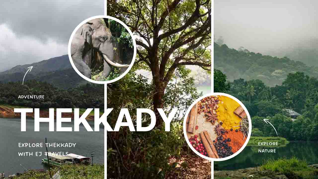 Thekkady Wildlife Sanctuary and Spice Plantation