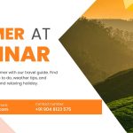 Munnar summer travel guide 2025