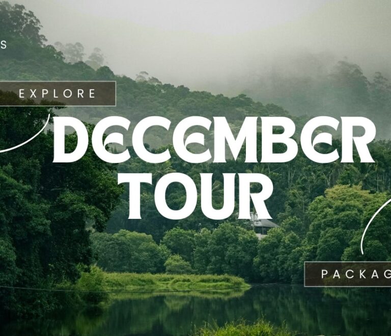 Kerala tours in December